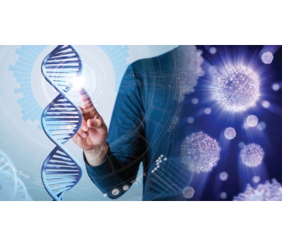 Anti-Aging Mechanisms of NAD+